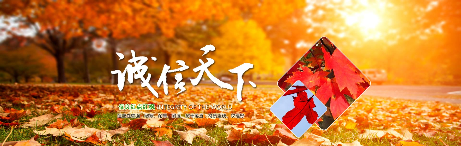汶上縣星光石材銷(xiāo)售有限公司