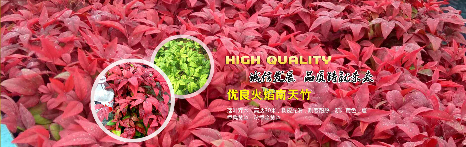 汶上縣星光石材銷(xiāo)售有限公司
