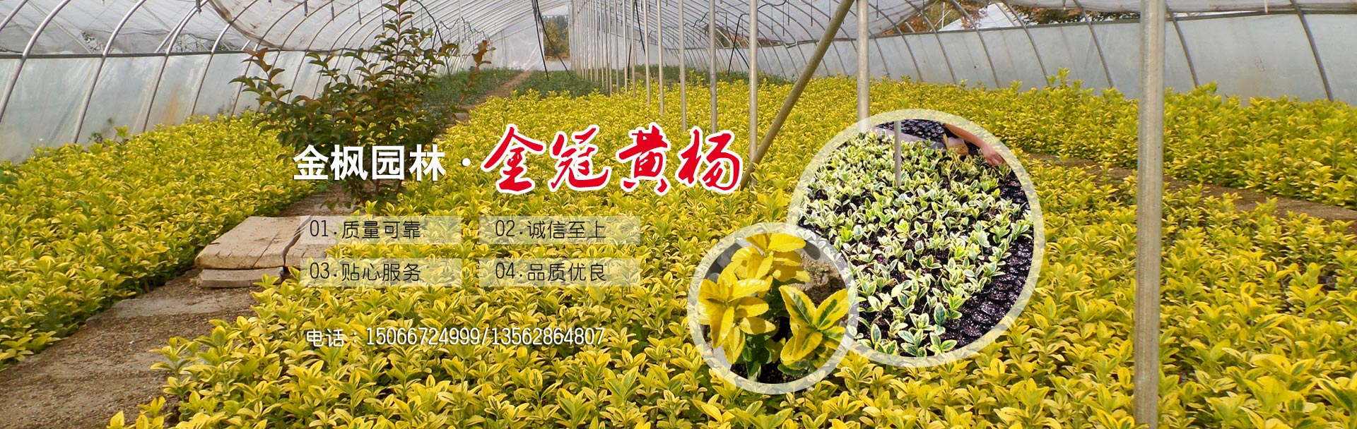 汶上縣星光石材銷(xiāo)售有限公司